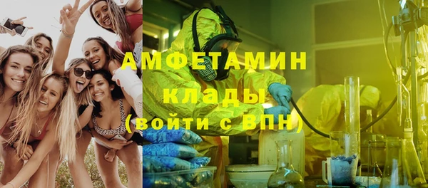гашик Алексеевка