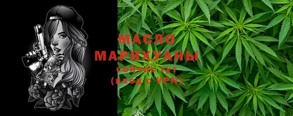 гашик Алексеевка
