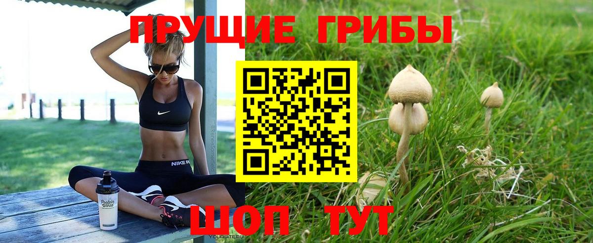 Конопля Мытищи