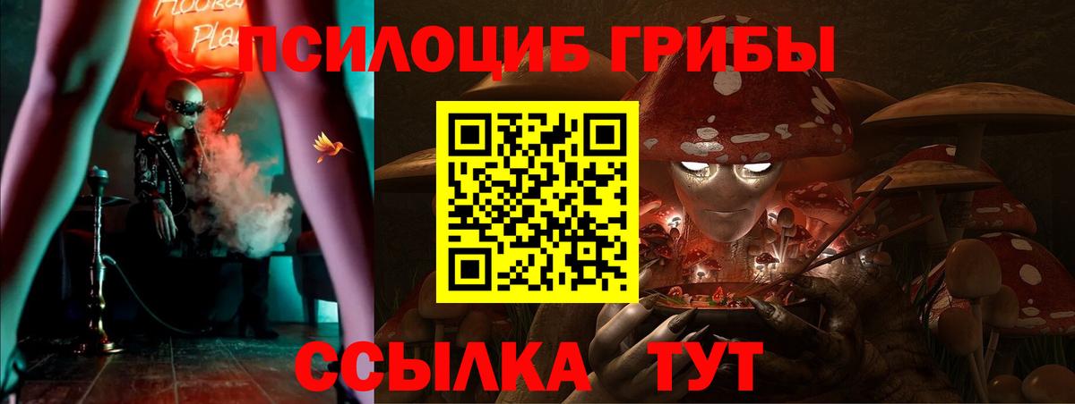 Галлюциногенные грибы GOLDEN TEACHER Мытищи