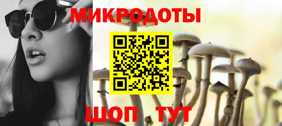 как найти наркотики  Псилоцибиновые грибы ЛСД  Мытищи  Вход с VPN  Псилоцибиновые грибы мицелий 